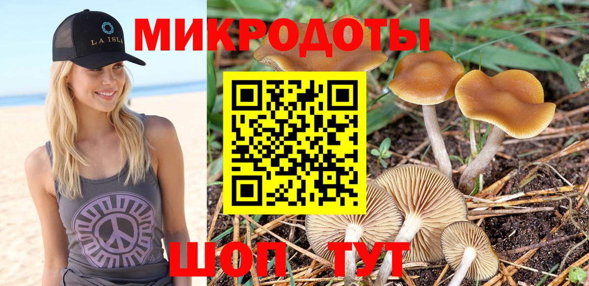 Галлюциногенные грибы Psilocybine cubensis Уссурийск