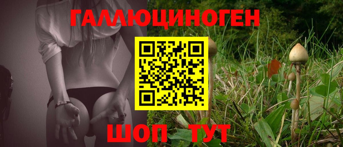 Уссурийск  Псилоцибиновые грибы MAGIC MUSHROOMS  Псилоцибиновые грибы Psilocybe  Вход с VPN 